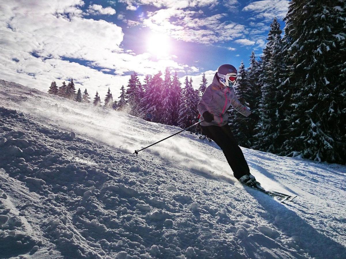 Mountainlodge Am Oetscher Lackenhof Exteriér fotografie